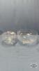 (2) ETCHED GLASS BOWLS