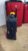 SET OF AMBER (3) PIECE LUGGAGE SET - 3