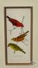 FRAMED BIRD PRINT - 2