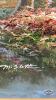 3D OIL ON CANVAS WATERFALL SCENE BY M. SCOTT - 3
