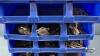 18 STACKABLE BINS IN SETS OF (3) WITH HARDWARE - 5