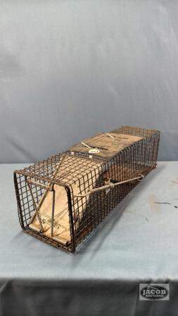 SQUIRREL TRAP