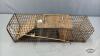 SQUIRREL TRAP - 3
