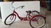 SCHWINN ADULTS TRICYCLE WITH BASKET - 2