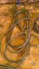 5 USED GARDEN HOSES - 6