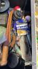 TACKLE BOX WITH CONTENTS - 6