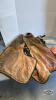 CHAIN SAW EQUIPMENT LOT - 5
