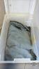 2 TRAILER HITCH RECIEVERS AND SHOP RAGS - 2