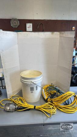2 EXTENSION CORDS AND TROUBLE LIGHT