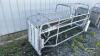 FARROWING CRATE WITH STAINLESS STEEL FEEDER - 3