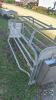 FARROWING CRATE WITH STAINLESS STEEL FEEDER - 5