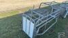 FARROWING CRATE WITH STAINLESS STEEL FEEDER - 7
