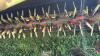 SET OF KUHN 29FT TRIPLE MOWERS - 10