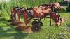 SALFORD 2000 3-FURROW SEMI-MOUNT PLOW - 3