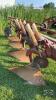 INTERNATIONAL 720 4-FURROW SEMI-MOUNT PLOW - 7
