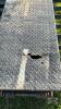 23FT GOOSENECK TRIAXLE DECKOVER TRAILER - 9