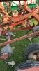 22FT HD CULTIVATOR WITH 4-BAR DRAG HARROWS - 9