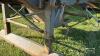 HOMEBUILT TANDEM GRAIN HOPPER TRAILER - 16