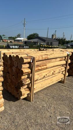 48 - 6IN X 8FT CEDAR POSTS