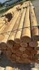 48 - 6IN X 8FT CEDAR POSTS - 2