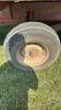 DION 16FT FORAGE WAGON - 9