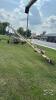 WESTFIELD 8IN X 61FT PTO AUGER