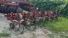 WEBER LANE 3PTH 6 ROW CROP CULTIVATOR - 4