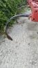 INTERNATIONAL 12FT CHISEL PLOW - 6
