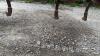 INTERNATIONAL 12FT CHISEL PLOW - 7