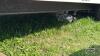 FOREST RIVER SURVEYOR 22FT CAMPER - 19