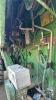 JOHN DEERE 9400 DIESEL COMBINE - 11