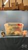 TOTE WITH AN ASSORTMENT OF STUFFIES