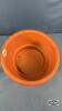 (1) CLAY FLOWER POT - 6