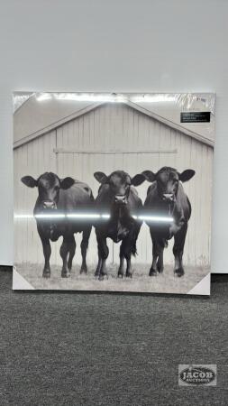 CATTLE PICTURE ON CANVAS