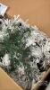 ARTIFICIAL 7.5 FOOT SNOW COVERED CHRISTMAS TREE - 4