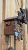 CUCKOO CLOCK - 5