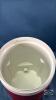 LEGEND 2US GAL. BEVERAGE COOLER BY IGLOO - 5