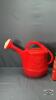 CLOTHES BASKET WITH GRASS SEED AND SPRINKLING CAN - 4