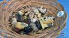 APPROX. 25 TEA FIGURINES - 6