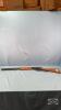 DAISY MODEL 111 PUMP ACTION BB GUN