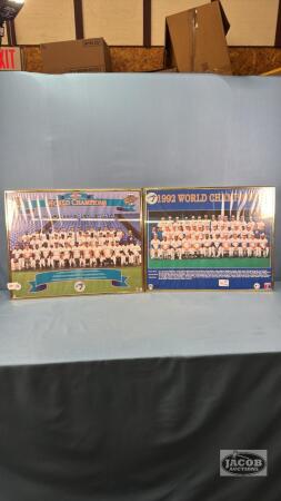 1992 AND 1993 TORONTO BLUE JAYS PICTURES