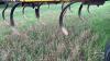 LANDOLL SOILMASTER 1200 SOIL SAVER - 12