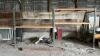 LOT OF READY RACK - 4
