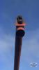 FARM KING 851 GRAIN AUGER - 14