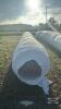 10 BALES OF CLOVER AND RYE - 2