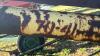 WESTFIELD 70-41 PTO AUGER - 10