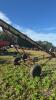 WESTFIELD 70-41 PTO AUGER - 17