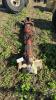 AXLE - 2