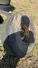 (3) 8 BOLT RIMS WITH 16.5L-16.1 TIRES - 3