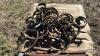 APPROX. 12 CULTIVATOR TINES - 4